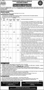 Daanish Schools Rahim Yar Khan Jobs August 2025