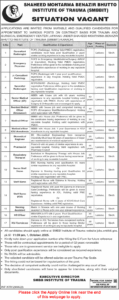 Shaheed Mohtarma Benazir Institute of Trauma Karachi Jobs