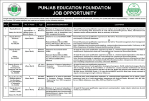 Punjab Education Foundation Jobs September 2025