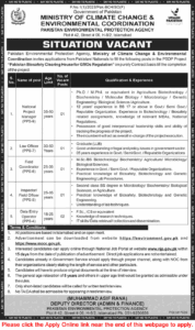 Ministry of Climate Change Jobs – Apply Online | Protection Agency Latest Vacancies