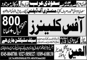 Latest Job in Saudi Arabia for Pakistani Citizens Nov 2025