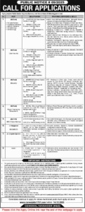 Public Sector Organization Jobs November 2025 December careerjobs1737 com Apply Online NDC / NESCOM Latest