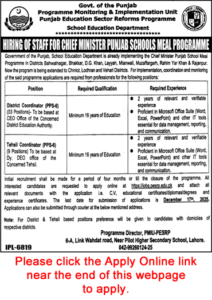 PESRP Jobs 2025 | Apply Online District & Tehsil Punjab